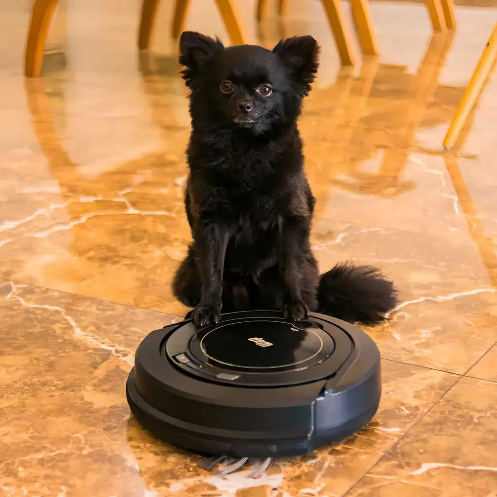 Robô aspirador Robot W90 - Miniatura 10